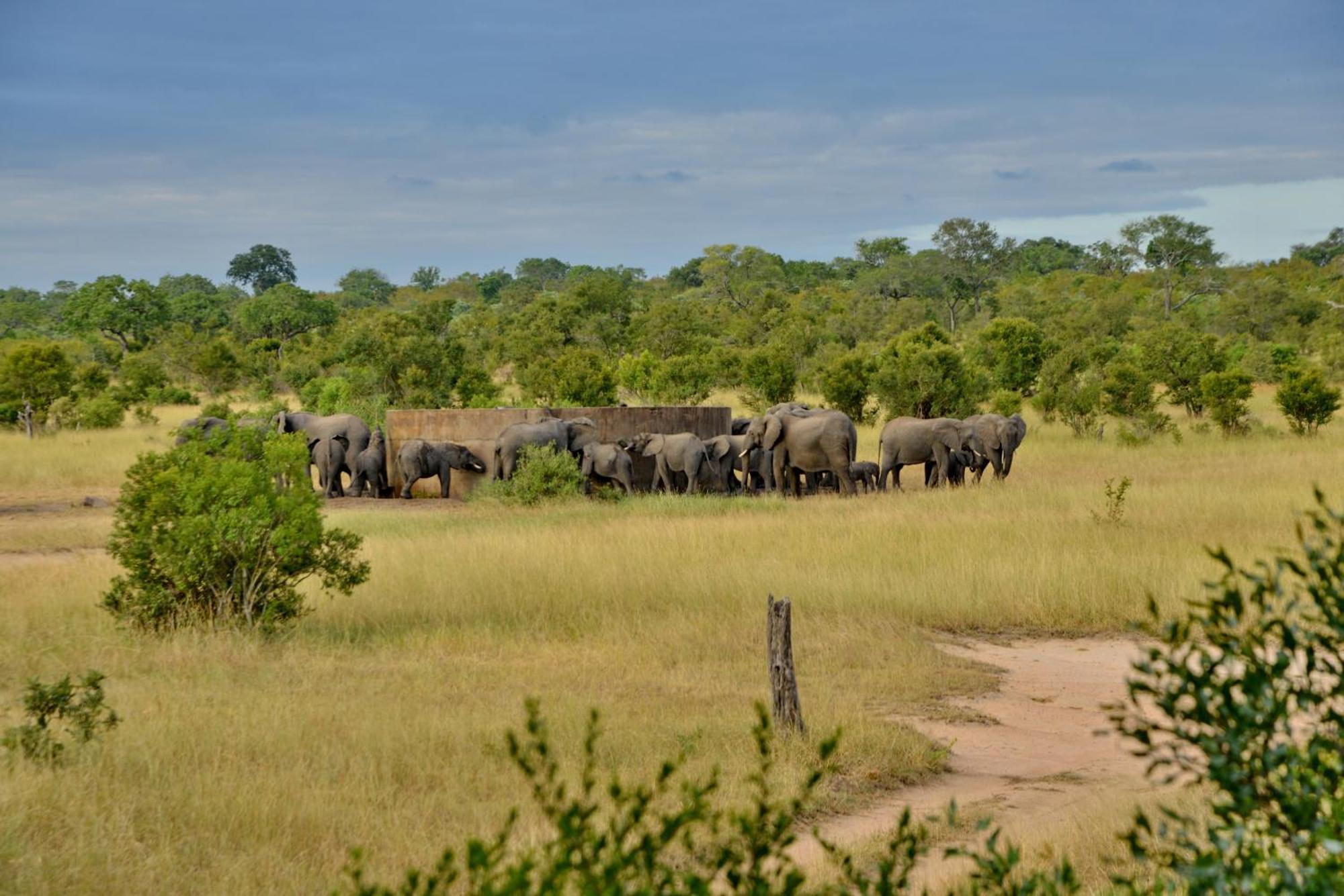 Rhino Walking Safaris Hotel Skukuza Exterior photo