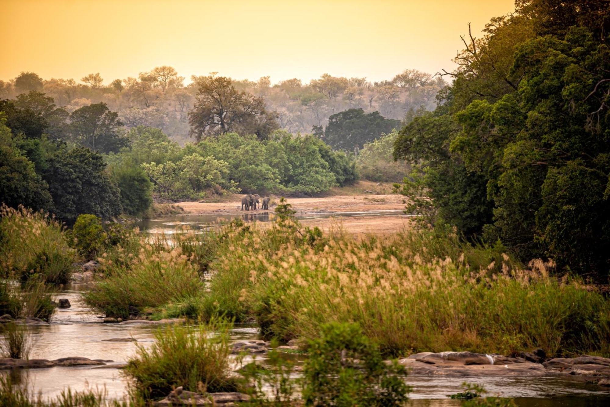 Rhino Walking Safaris Hotel Skukuza Exterior photo