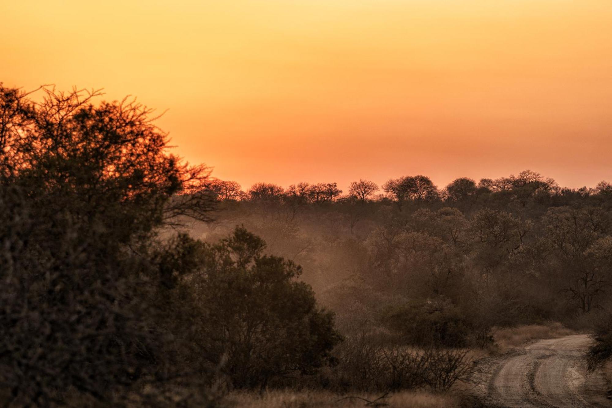 Rhino Walking Safaris Hotel Skukuza Exterior photo