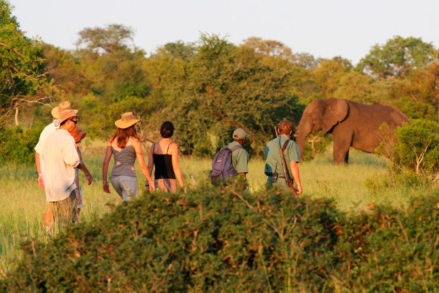Rhino Walking Safaris Hotel Skukuza Exterior photo