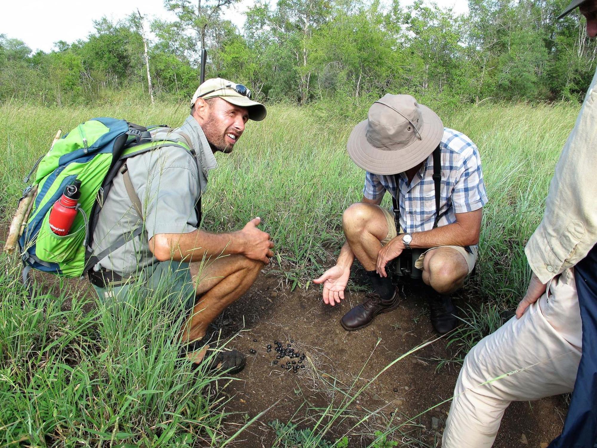 Rhino Walking Safaris Hotel Skukuza Exterior photo